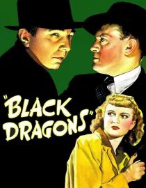 Poster for Black Dragons