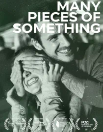 Poster for Many Pieces Of Something