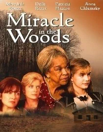 Poster for Miracle In The Woods