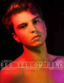 Poster for Red Yellow Pink