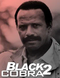 Poster for The Black Cobra 2