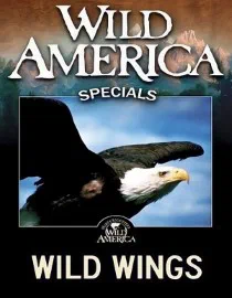 Poster for Wild America Special: The Predators